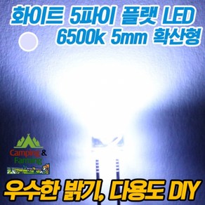 5파이 플랫 확산형LED(화이트/DIY용/다용도/교재용), 100개, 1개