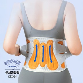 이즈코리아 나비드 요추 지지 허리 보호대 지지대 통증 복대 이중압박 벨트, 1개