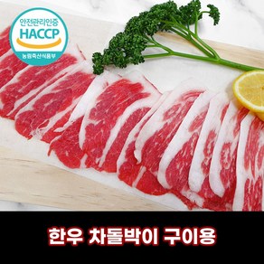 디에스미트 한우 차돌박이 구이용 우시산한우 1등급이상 냉동, 300g, 1개