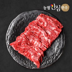 농협안심한우 1등급 한우 치마살 300g, 1개