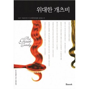 위대한 개츠비(한글판+영문판) 세트, 반석출판사