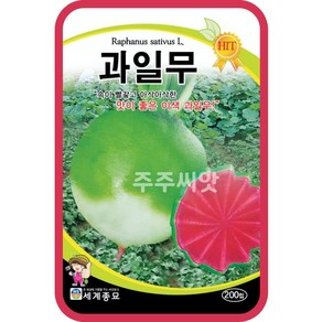 과일무 100립 / 무씨앗 무우씨 수박무 씨앗 이색 종자 watemelon adish seed, 1개