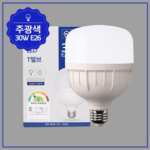 T벌브30W LED