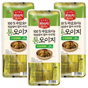 (냉장)[하선정]통오이지, 3개, 300g