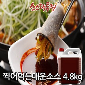 찍어먹는매운소스 4.8kg