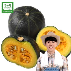 산지직송 국산 친환경 무농약 토종 햇 미니 밤호박 단호박 보우짱 밤단호박 보짱 국내산, 1개, 1kg (약2~3과 내외)