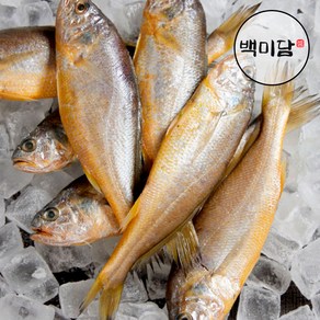 국내산 반건조참조기 실속형, 1세트, 12미(1440g)