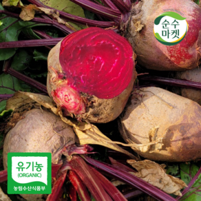 [순수마켓] 해남 유기농 햇 레드비트 2kg, 1개
