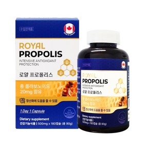 로얄 프로폴리스 캐나다 직수입 180캡슐[6개월분] 항산화 플라보노이드 (재고보유 000EA), 캐나다 직수입 로얄프로폴리스 500mg x 180캡슐, 1개, 180정