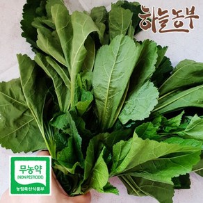 하늘농부 친환경 아욱 150g