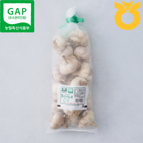 GAP 농협 홍산마늘 특 3kg 햇 마늘, 3kg(1kg*3개), 1개