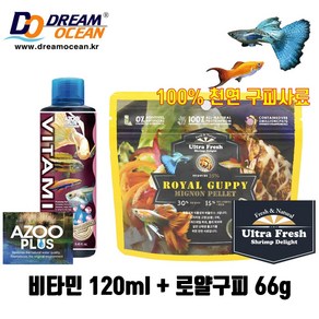 비타민120ml+로얄구피 66g 100%천연사료 구피영양제 열대어 구피먹이 면역력 소형어, 1세트, 120ml