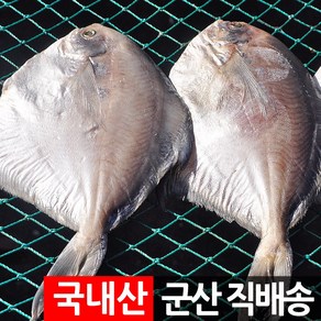 장스토어 제수용 생선 반건조 병어 1미 군산항직송, 1세트