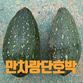 [산지직송] 국내산 미니단호박 밤 단호박 보우짱 달콤