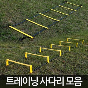 트레이닝 사다리 스텝레더 연습용 축구 속도 훈련용, 02-트레이닝사다리6줄(입체), 1개