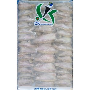 S.N. FOOD FROZEN MOLA (냉동모라 잉어)미얀마 생선 300G/1PACK