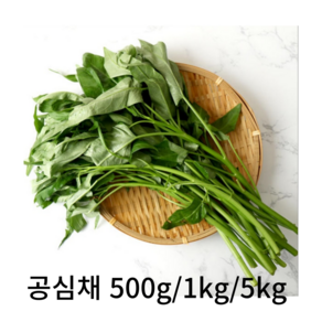 [산지수확] 공심채 모닝글로리 동남아 야채 베트남 모닝글로리 채소 태국 요리, 1박스, 500g