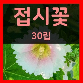 헬프팜 접시꽃 30립 씨앗 세계종묘 종자, 1개