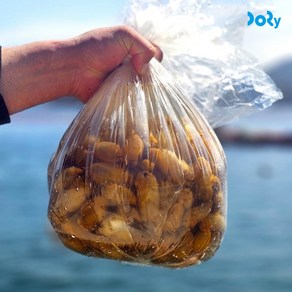 [간편 손질] 국내산 생물 미더덕 500g / 찜탕용 해산물, 1개