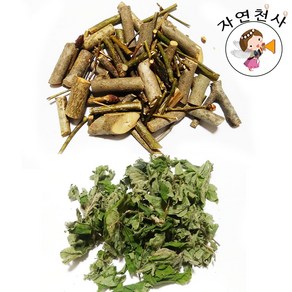 야생 생강나무 잎 100g 직접채취 자연건조, 생강나무가지500g