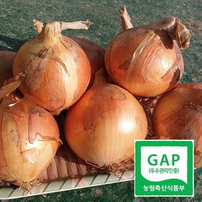 [GAP산지직송] 국내산 양파 2kg 3kg 5kg 햇양파, 중 5kg, 1개