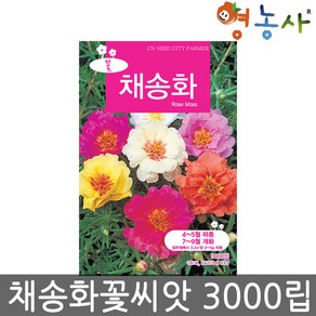 채송화 씨앗 중포장 3000립