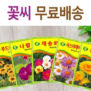 꽃씨 야생화 키우기 소포장 21종 다년생 봄 파종 채송화 봉선화 해바라기, 꽃씨-분꽃, 1개