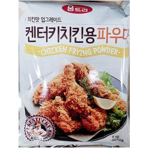 치킨파우더 움트리 1kg 치킨분말 식당용 켄터키치킨파우더, 1개