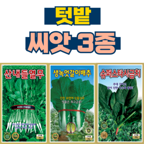 채소씨앗 3종 열무씨앗+엇갈이씨앗+시금치씨앗 텃밭 종자, 1세트