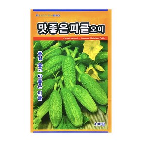 오스템 오이씨앗 맛좋은피클오이 100립, 1개