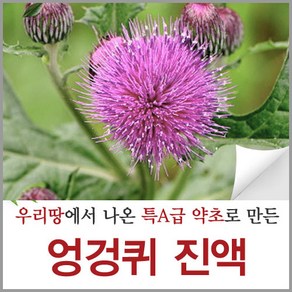 신토불이약초 엉겅퀴 진액 즙 액기스 원액 90ml 60포