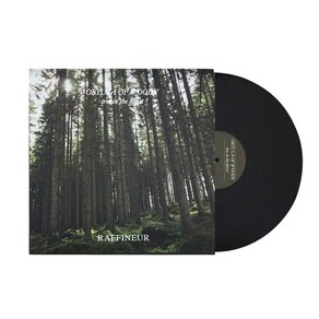 [NEW]라피네르 테라코타 LP 퍼퓸 리필 키트 12종 택1, 옵투사 오브 우디(리필), 1개