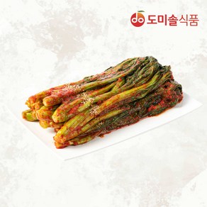 (m)도미솔 박미희 달인 맛있는 갓김치 2kg, 1개