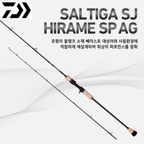 다이와 솔티가히라메 SJ SP AGS 65B-3 광어다운샷