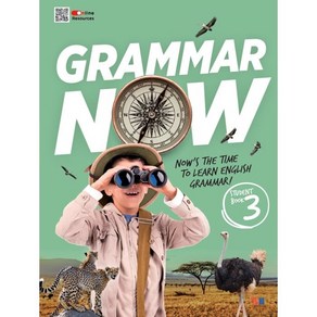 GRAMMAR NOW 3