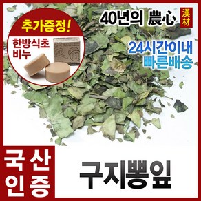 자애인 국산 꾸지뽕 잎 600g 구찌뽕 꾸찌뽕 경북영천, 1개