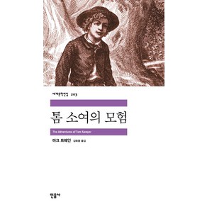 톰 소여의 모험