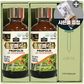 한국양봉농협 프로폴리스 액상 원액 국내산 식약처인증 PROPOLIS 식약청인정 100ml, 1개