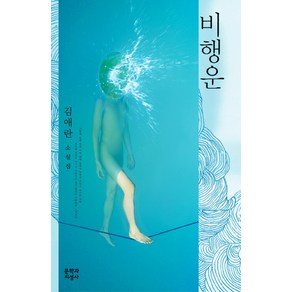 비행운:김애란 소설집