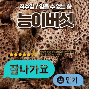 며느리약초 자연산 능이버섯 A급 (특품) 건조 100g