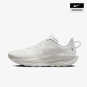 나이키 NIKE 페가수스 트레일 5 DV3864-101