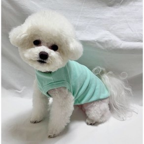 스타일독 메리 골지 나시 강아지옷, 1개, 민트