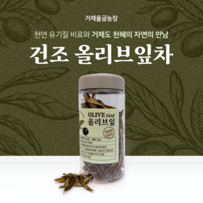 면역력에좋은차 거제올굼농장 건조올리브잎 올리브잎차30g 국산차