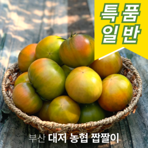 [부산대저농협인증] 산지직송 고당도 대저 토마토, 1박스, (특품) 부산 대저토마토 2.5kg (L)