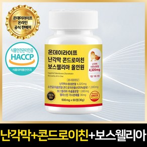 온데이라이프 난각막 엘라스틴 가수분해물 콘드로이친 보스웰리아 올인원 HACCP, 1개, 60정