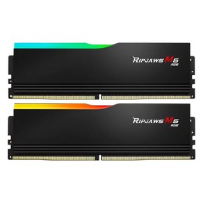 [G.SKILL] DDR5 PC5-51200 CL32 RIPJAWS M5 RGB 블랙 [32GB (16GB*2)] (6400), 2개