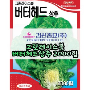 경신종묘 그린레이스볼버터헤드상추 2000립 파종용 상추 씨앗, 1개