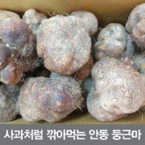 24년 생산 안동 둥근마 중품 5kg (정직을 배달합니다)