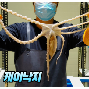 [살아서 도착]국내산 산낙지 세발낙지 대낙지 전라도 뻘낙지 활낙지, 10개, 중낙지(100~130g)