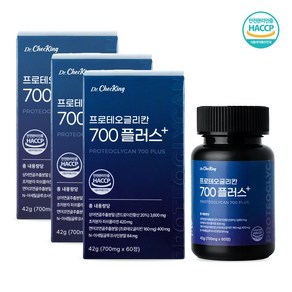 콘드로이친 프로테오글리칸 700 플러스 2형콜라겐 700mg*60